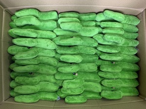 热卖仙人掌形状耐用宠物毛绒玩具 & 狗咀嚼玩具，有趣吱吱作响的声音，用于互动游戏 - Product Image 5