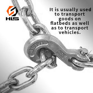 HLS resistente acciaio inossidabile AISI304/316 gancio di sollevamento della catena di sicurezza gru ganci gancio di presa di <span class=keywords><strong>Clevis</strong></span> Mining industria pesante gancio gancio - Product Image 6