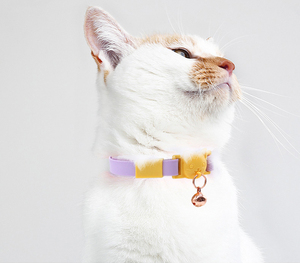 Collar de PVC para mascotas de fácil limpieza, logotipo personalizado multicolor, Collar de PVC para gatos impermeable ajustable con campanas