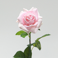 Fleurs artificielles en latex de haute qualité, faites à la main, effet toucher réel, hydratantes, roses blanches, modernes, pour mariage, remise de diplôme, décoration de la maison