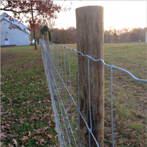 Valla de Alambre de Larga Duración para Granjas <span class=keywords><strong>Rurales</strong></span> en Australia, para Ganado y Ciervos - Product Image 4