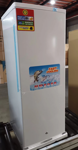 Congelador Solar de 12V/24V y 198L, Máquina de Hielo Solar, Congelador Vertical para el Mercado de Nigeria, Malí, Camerún, Ghana y Chad - Product Image 5