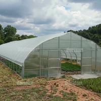 Serre tunnel agricole économique de 30 x 8 mètres, serre portable pour l'élevage d'escargots, fournisseur de serres commerciales au Ghana