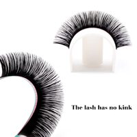 Ekstensi Bulu Mata D&M untuk Volume Cepat 0.07 Semi-Handmade 3D-10D Automatic Blooming Flower Lashes Self Fanning Lashes Russian