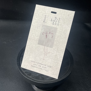 Tùy Chỉnh Thân Thiện Với Môi Tên <span class=keywords><strong>Logo</strong></span> In May Hangtag Nhãn Chuỗi Treo Thẻ Cho Túi Xách Giày Và Nhựa Quần Áo - Product Image 4