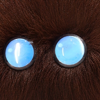 KI-Plüsch-Schreibtischroboter Weiches Interaktives Begleiter-Spielzeug LCD-Display USB-Aufladung als Geschenk für Kinder