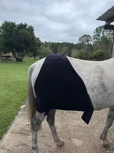 AQSHE luce rossa infrarossa terapia strumento veterinario per cavalli equino coperta tappeto cavallo Pad trattamento luce rossa - Product Image 5