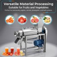 Automatische commerciële schroefpers voor fruit en groenten voor efficiënte sapverwerking