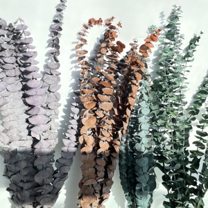 Foglie di eucalipto essiccate steli ramo conservato fiori secchi freschi piante eucalipto conservato per la composizione di fiori secchi - Product Image 6