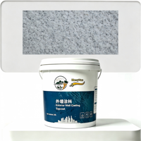 Peinture à base de pierre naturelle disponible en OEM, revêtement extérieur décoratif à texture rocheuse pour bâtiments scolaires