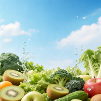 Thé Minceur Prêt à Boire Liquide Salade 100% Botanique 30ml Kiwi pour Smoothie Concombre Détox Perte de Poids 5 Sachets