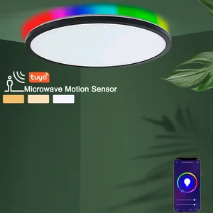 Modern RGBCW 18W 25W 300mm WIFI Smart Tuya Alexa Google Home Assistant LED Round ceiling light flush mount