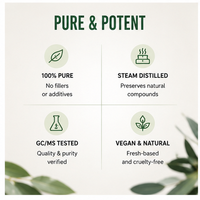 Huile essentielle d'eucalyptus pure et naturelle ; Améliore la respiration et offre des propriétés antibactériennes, idéale pour la parfumerie d'intérieur.