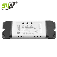 Interrupteur intelligent WiFi 2CH AC/DC 7V-32V, prise en charge de la télécommande 433MHz