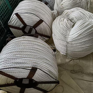 Miễn phí giao hàng nhà máy tùy chỉnh Trắng Nylon <span class=keywords><strong>PP</strong></span> dây 6mm 10mm 14mm Polypropylene 3 sợi xoắn nhựa Dây bao bì dây - Product Image 1