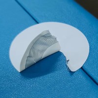 Vente en gros d'étiquettes en PVC NFC RFID pour EV1 EV2 EV3 2K 4K 8K HF 13.56MHz Cartes de paiement d'hôtel de contrôle d'accès (étanche)