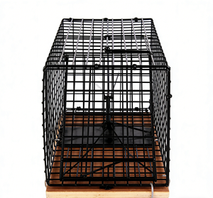 Grande cage piège à rongeurs robuste pour la capture de souris et de rats, idéale pour la lutte antiparasitaire intérieure et extérieure - Product Image 1
