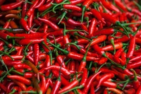 High Quality Vietnam Fresh Red Chili 3-6cm 30kg/pack Best Price Wholesale for Food Use Raw Processing Spicy Taste