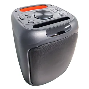 Portable 6.5 Inch Radio HiFi Speaker Mini System with LED Light For Outdoor Karaoke Subwoofer Speaker