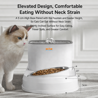 Fontaine à eau et gamelle pour animaux de compagnie Cat & Dog, écologique, moderne, 2L, silencieuse, à circulation, surélevée, inclinée à 15°, en acier inoxydable