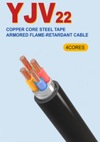 Kabel Listrik Bawah Tanah Tugas Berat YJV22 3-Core 4-Core 5-Core Kabel Listrik Berlapis Baja untuk Pemasangan Langsung