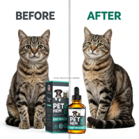 Huile d'huile de chanvre pour le confort et le bien-être des chiens, gouttes calmantes pour chats avec Oméga 3 6 9, soutien immunitaire, absorption rapide