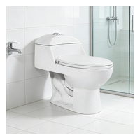 WC monobloc 3/6L à économie d'eau, design siphonique à double chasse, 300 mm, pour l'Amérique latine