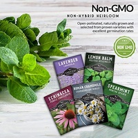 Kit de plantes d'intérieur écologique style ferme avec 5 sachets de thé aux herbes pour fleurs artificielles