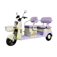Kit Tricycle Électrique Classique Populaire à Sièges, Tricycle Passager Électrique Ouvert Complet, Moteur Brushless 650W-1000W, 50-70Km/h