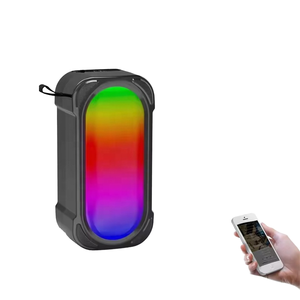 Rgb ánh sáng loa không dây stereo TWS sạc di động với FM Đài phát thanh đầy màu sắc LED dây đeo ngoài trời mini xách tay BT Loa - Product Image 2