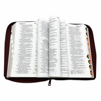 Bible espagnole Reina Valera 1960 personnalisée avec fermeture éclair, couverture rigide, cadeau religieux chrétien personnalisé