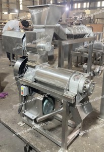 Presse-agrumes en acier inoxydable VBJX pour ananas, tomates, extracteur de pulpe, machine à jus de fruits et lait de coco avec broyeur - Product Image 6