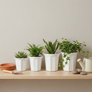 Pots de pépinière en plastique légers, durables et écologiques pour la propagation des plantes, design moderne, vente en gros, taille moyenne - Product Image 6