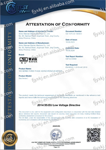 Motore Asincrono Trifase Serie YE5 di Industry Wannan Electric (Anhui) |   Bobina in Rame Pieno |   Efficienza IE5 |   1500 giri/min - Product Image 6