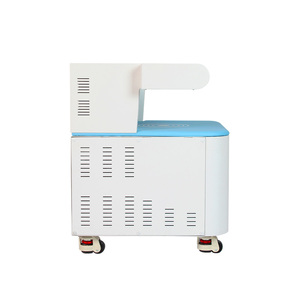 Appareil de resserrement vaginal à technologie d'énergie électromagnétique focalisée haute intensité pour une performance fiable et une réparation vaginale - Product Image 5