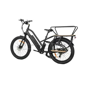 48V 750W powerful long range cargo delivery electric mail bike for postman