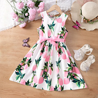 Gaun Chiffon Model Pita Musim Panas 2026 Grosir Kustom untuk Anak Perempuan Ukuran Kecil dan Sedang, Panjang hingga Mata Kaki, Model Ball Gown, Ramah Lingkungan, dan Bernapas