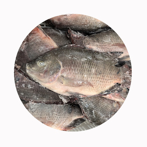 Nhà xuất khẩu hải sản Trung Quốc, phi lê cá Tilapia đông lạnh - Product Image 1