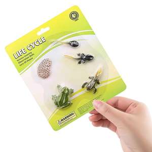 Yxs niños Montessori enseñanza SIDA simulación vida silvestre modelo Gallo tortuga ciclo <span class=keywords><strong>de</strong></span> crecimiento Juguetes - Product Image 5