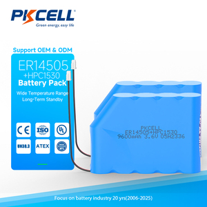PKCELL Superkondensator Lithium-SOCl2 ER14505M 2200mAh Li-Ionen Wiederaufladbarer 7,2V Akku-Pack mit Stecker - Product Image 6
