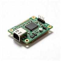 Módulo Amplificador de Subwoofer de 2.1 Canales, Placa PCB de Amplificador de Audio con Ajuste de Graves y Agudos, OEM ODM