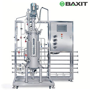 BAXIT Fermentador de Acero Inoxidable Estéril de 20L, Biorreactor con Control PLC para OEM, Capacidad Personalizable, Investigación Científica Celular - Product Image 5
