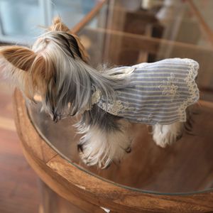 Robe pour animaux de compagnie à rayures brodées, vêtements pour chiens respirants et élégants pour <span class=keywords><strong>Yorkshire</strong></span> Terriers, Bichons et toutes autres races (tailles XXL XL) - Product Image 3