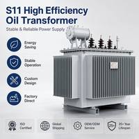 Transformateur de distribution de puissance triphasé immergé dans l'huile, bobinage en cuivre, 10 kV, 100 kVA, S11, directement de l'usine Wanbo-263