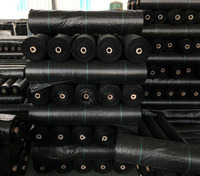 Toile de paillage tissée en PP pour le contrôle des adventices en Chine, idéale pour les couvertures de sol agricoles et de jardin
