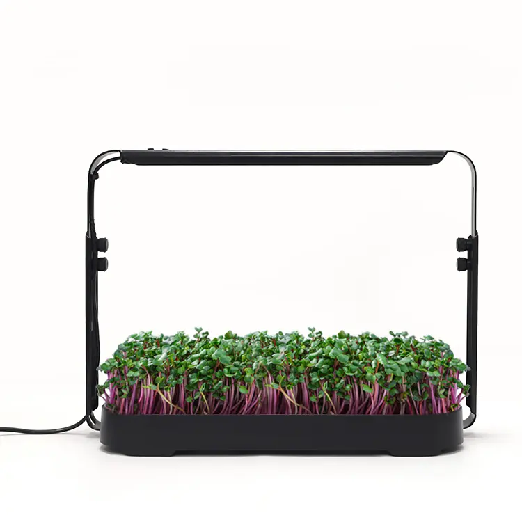 Mini Micro verdi per interni automatizzati coltivano germogli da cucina leggeri Kit di coltivazione idroponica da giardino sistema di coltivazione casa con luci a Led