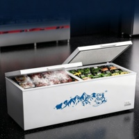 Congélateur vertical commercial à double porte, ultra-grande capacité, idéal pour supermarchés et usage domestique, pour la conservation de la viande et du poisson