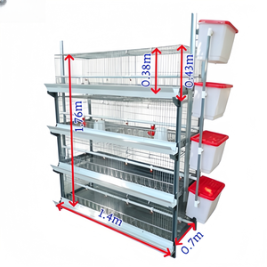 Cage d'élevage de type H à installation facile, gain de place, 1 ensemble, <span class=keywords><strong>prix</strong></span> bas pour petite ferme avicole – Vente directe usine - Product Image 5