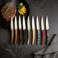 Ensemble de couteaux à viande de luxe en acier inoxydable, couteaux de table avec manche en acrylique, couteau à steak à bord droit
