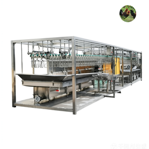Chicken Poultry Slaughter Equipment Small Scale Chicken Slaughter Equipment Poultry Abattoir Slaughterhouse Equipment - Product Image 5